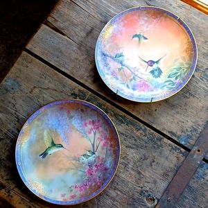Bradford Exchange Hummingbird collector plates. Limited Edition (2). VINTAGE